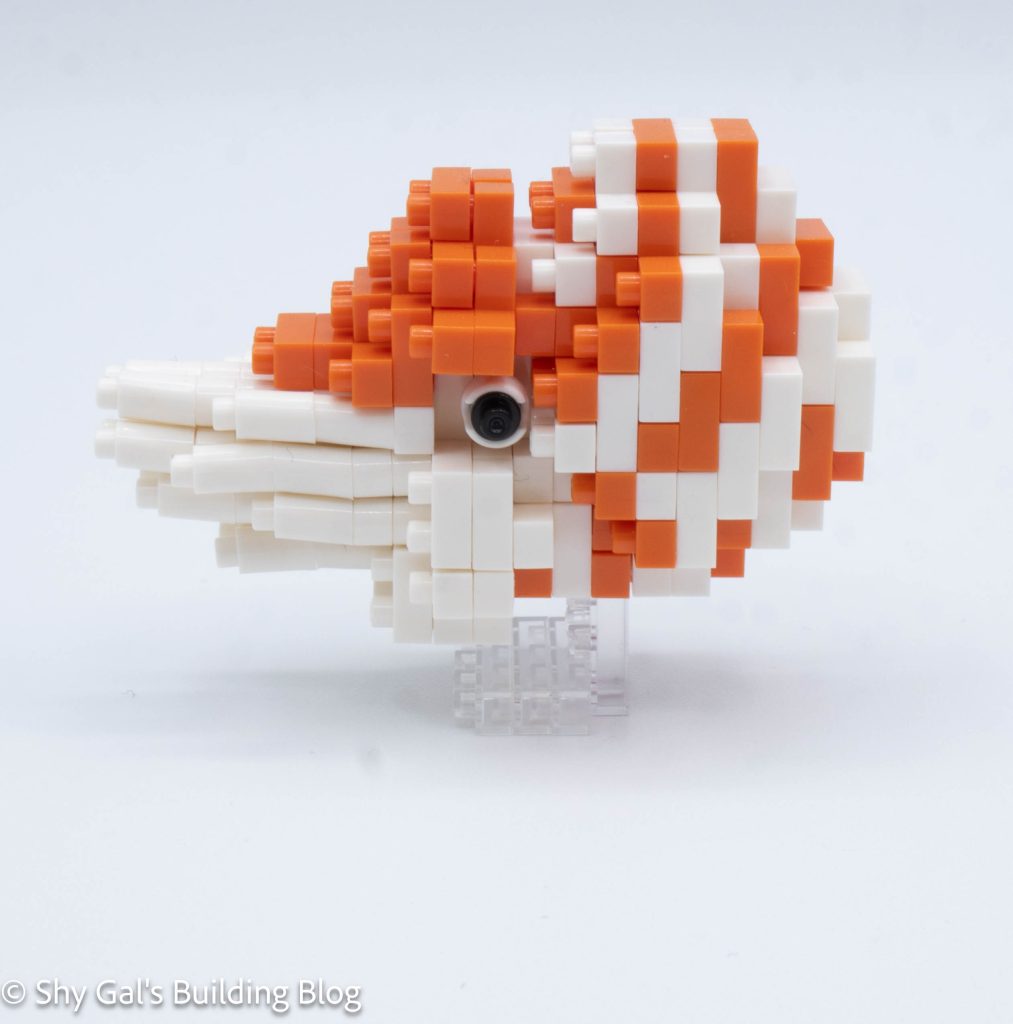 Nautilus build side view
