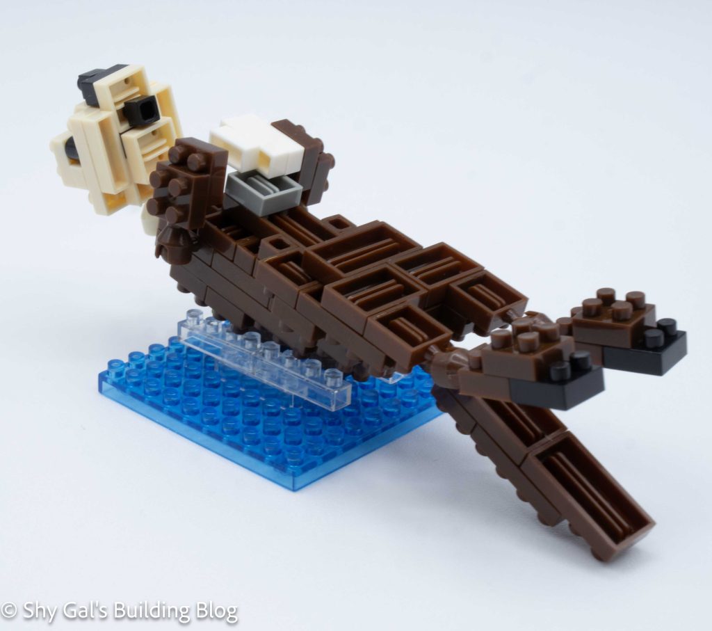Sea Otter build 3/4 view 