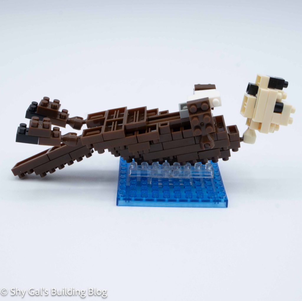 Sea Otter build side view