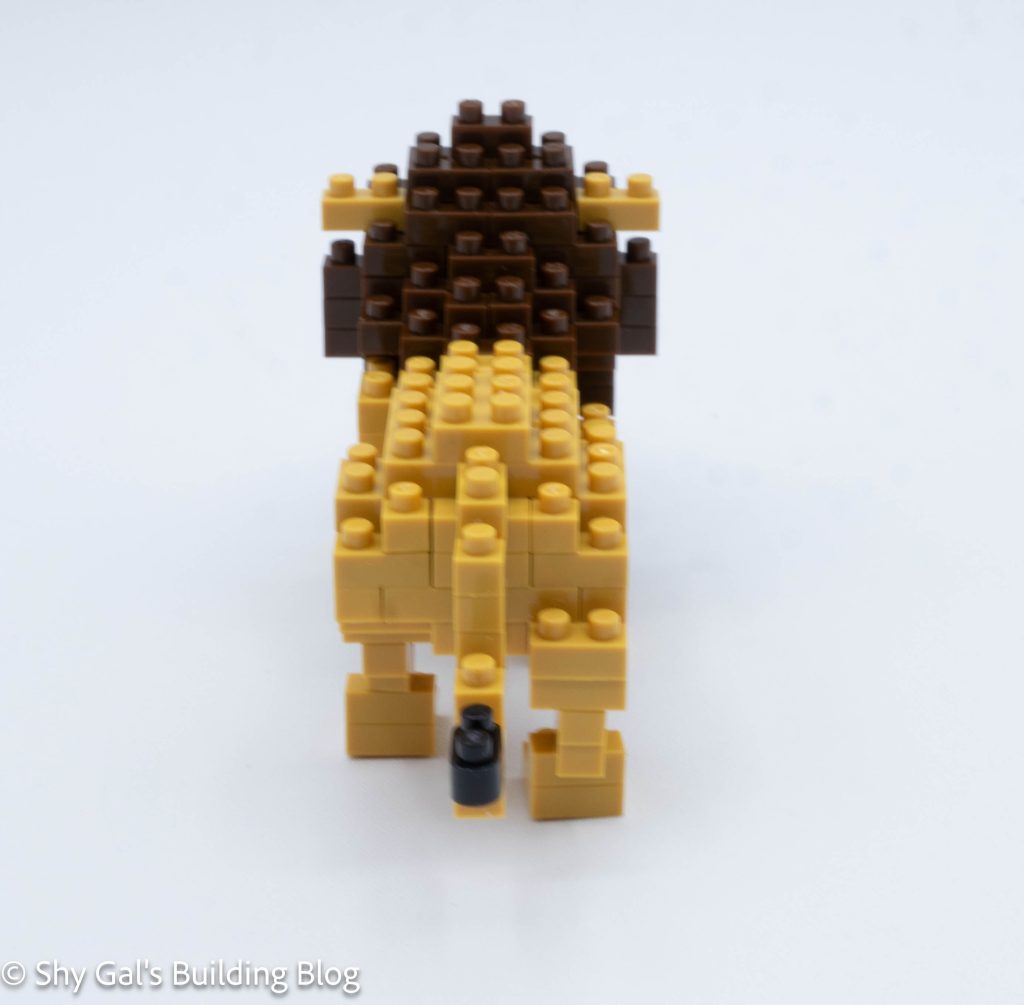 Lion build back view