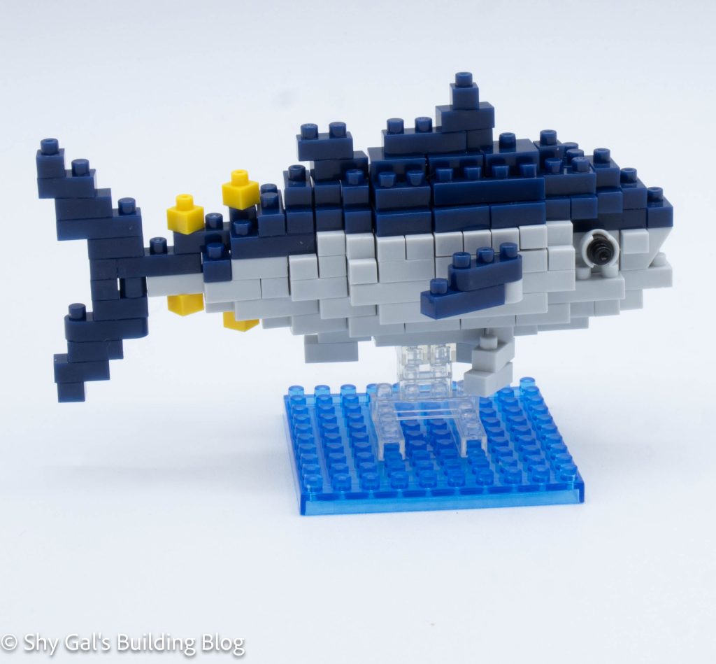 Bluefin Tuna build side view
