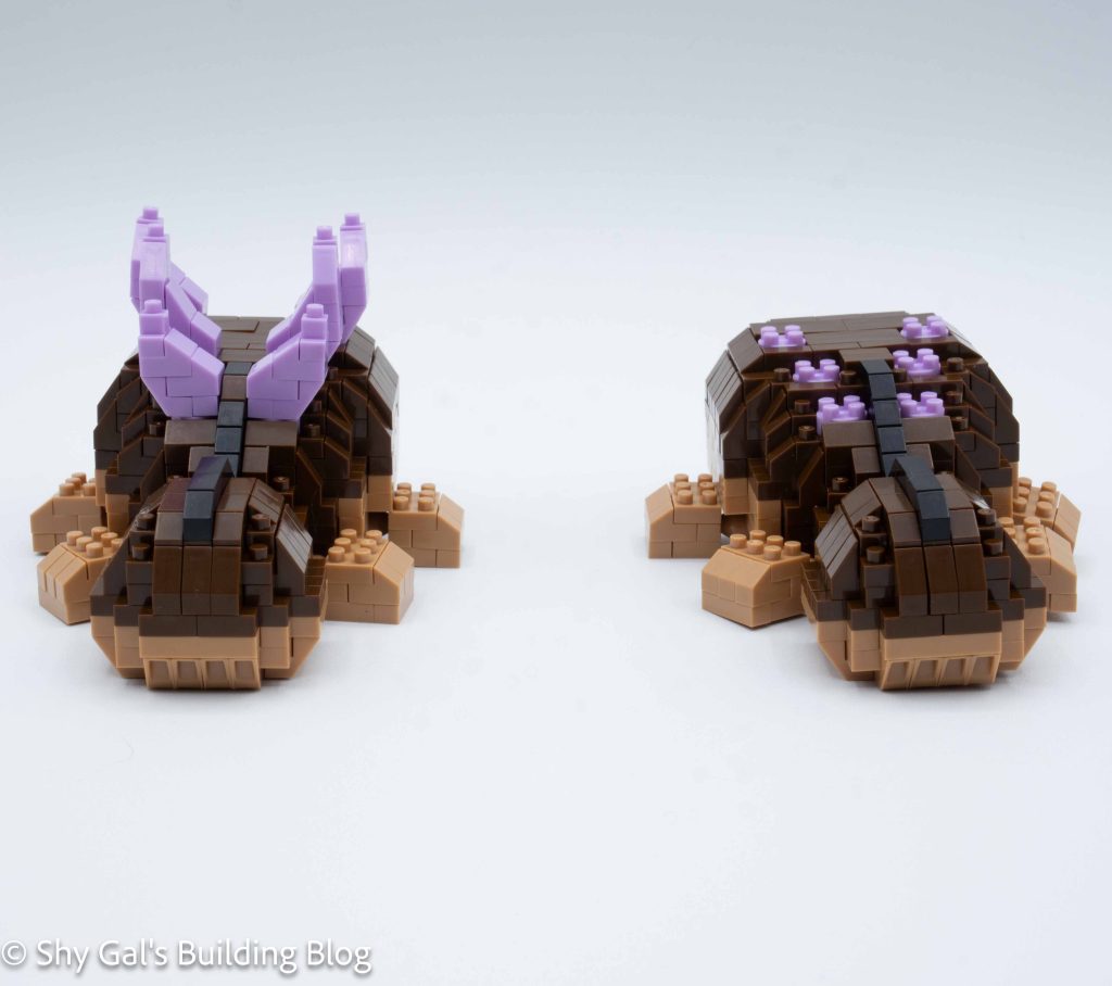 Clodsire build back view