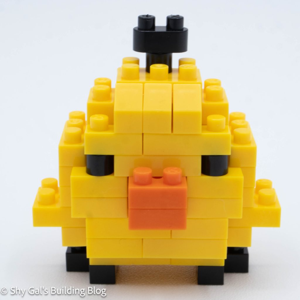 Kiiroitori build front view